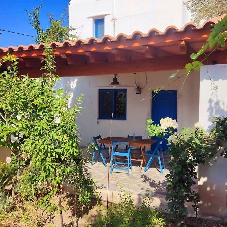 فيلا Lianas Garden House أفانتو المظهر الخارجي الصورة