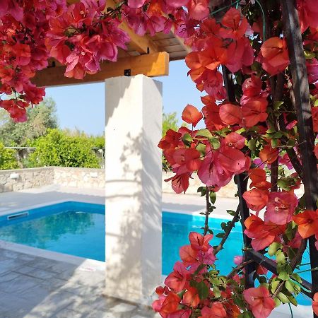 فيلا Lianas Garden House أفانتو المظهر الخارجي الصورة