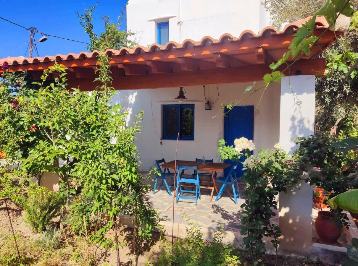 فيلا Lianas Garden House أفانتو المظهر الخارجي الصورة