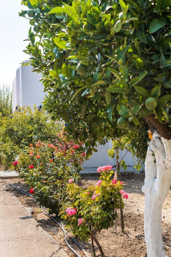 فيلا Lianas Garden House أفانتو المظهر الخارجي الصورة